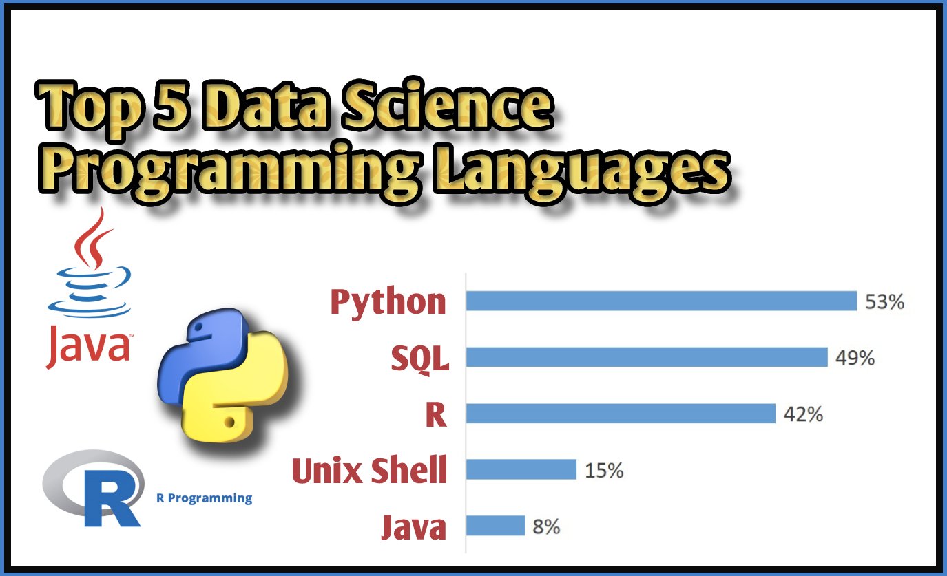 Top 5 Data Science Programming Languages